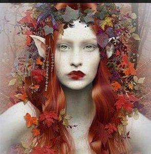 Meet your Posher, Lee ann